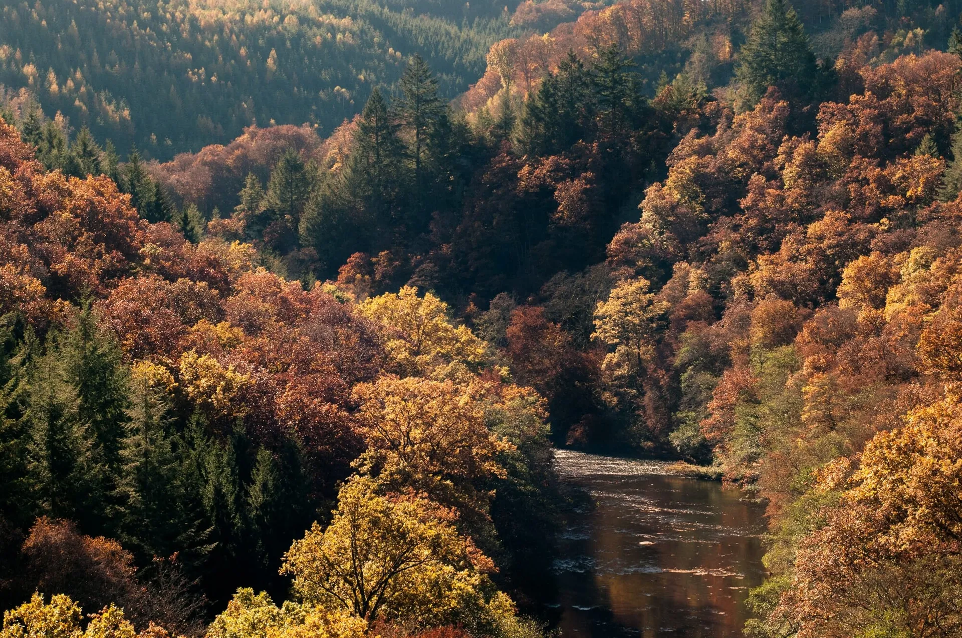 Paysages des Ardennes belges