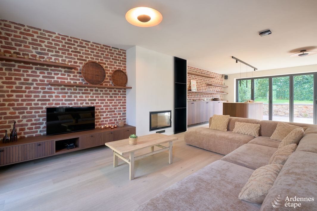 Le Supra - Salon TV cheminée